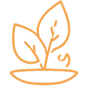 Sustainability